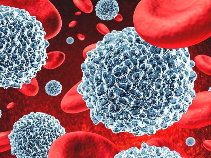 What is the significance of a white blood cell count with regard to HIV?
