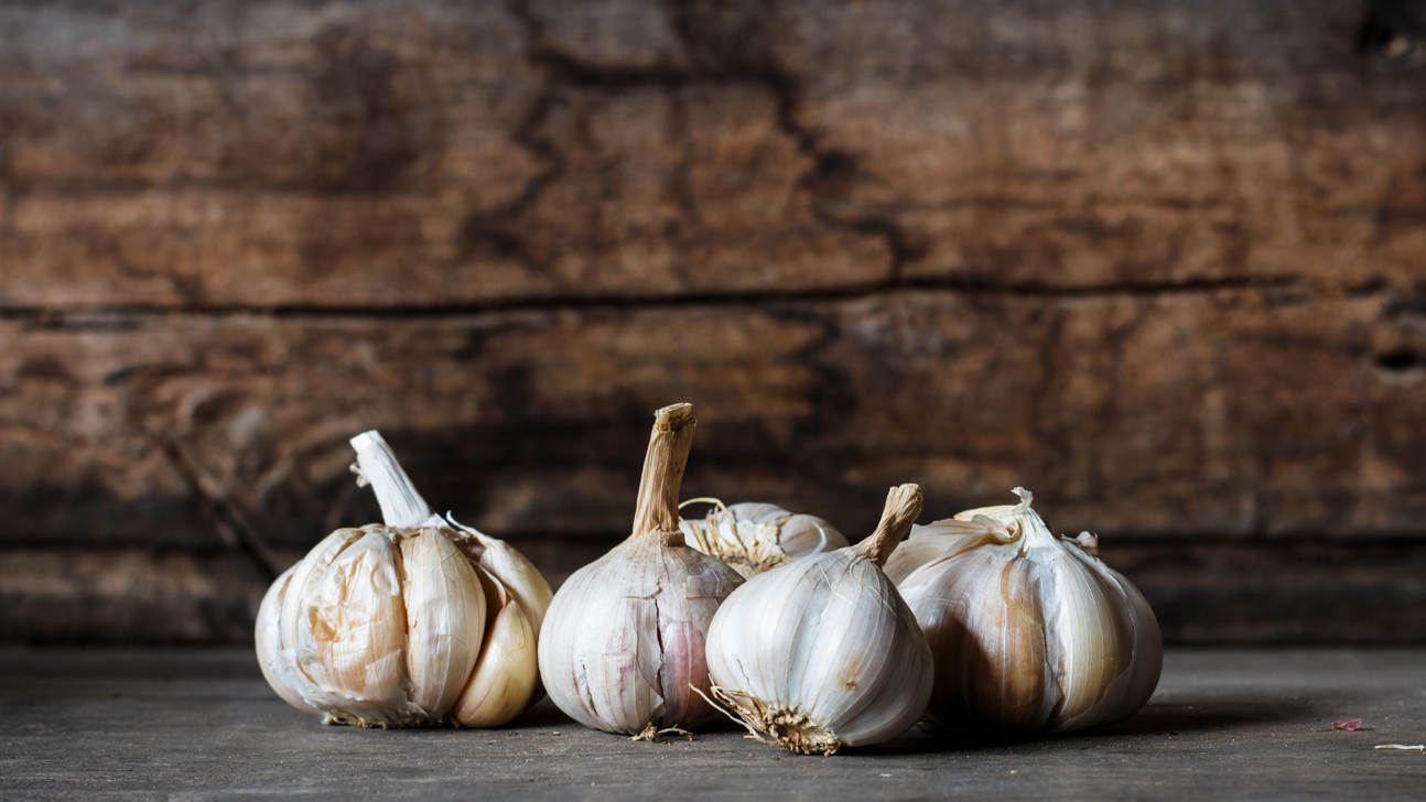 「garlic」の画像検索結果