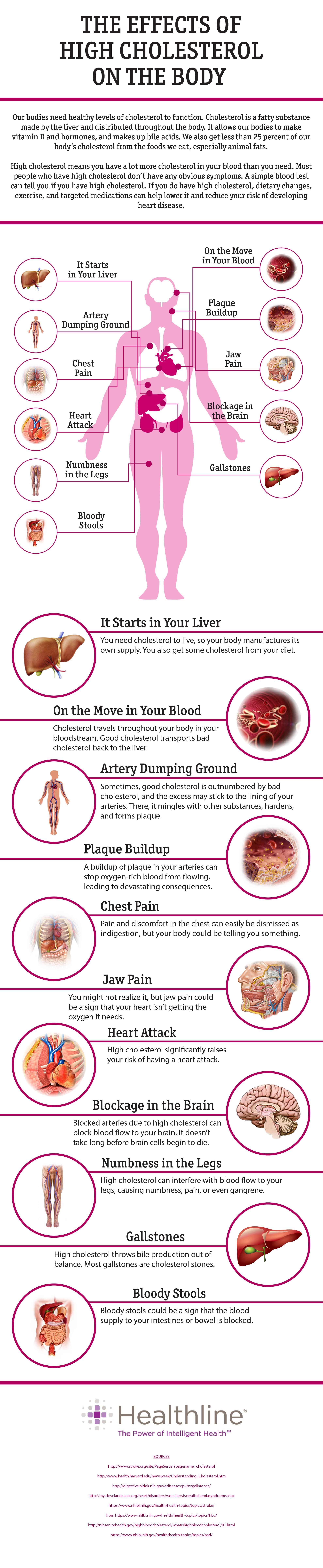 The Effects of High Cholesterol on the Body