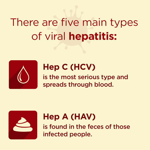 What are some facts about Hepatitis C?
