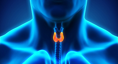 What size would a thyroid nodule need to be to cause concern?