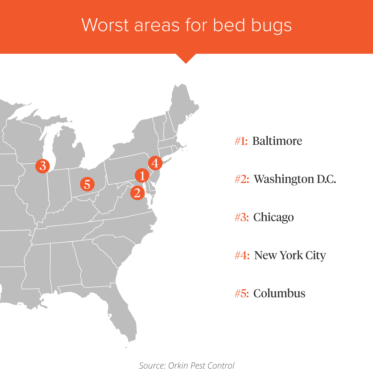 Bed Bugs What Cities Are The Worst