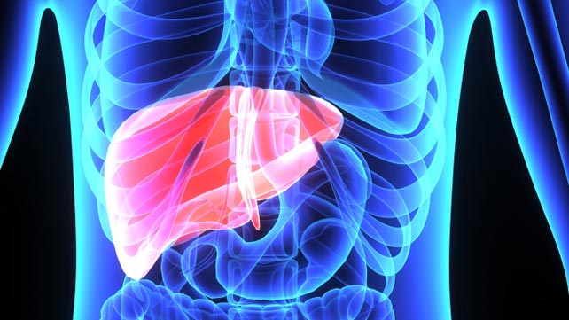 Image result for liver problem