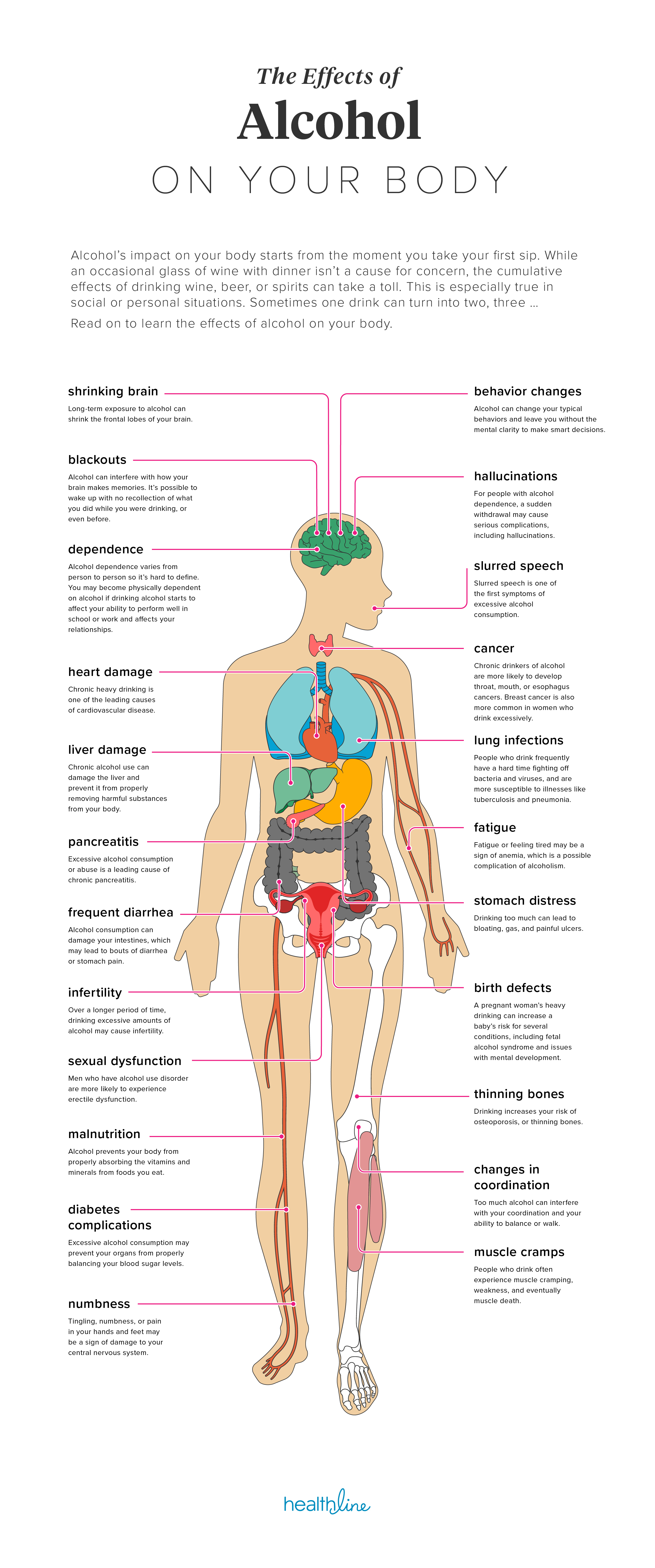 The Effects of Alcohol on Your Body
