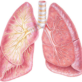 Small cell lung cancer: practice essentials 