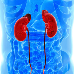 What is a kidney mass?