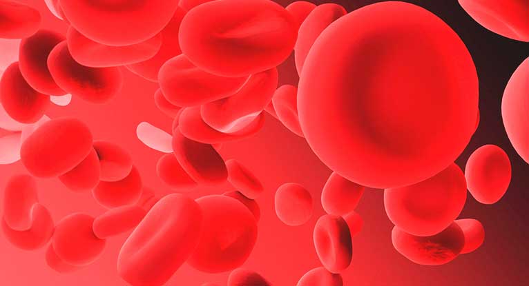 What could affect the normal range for white blood cells?