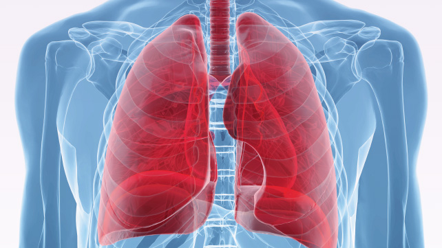 「lung」的圖片搜尋結果