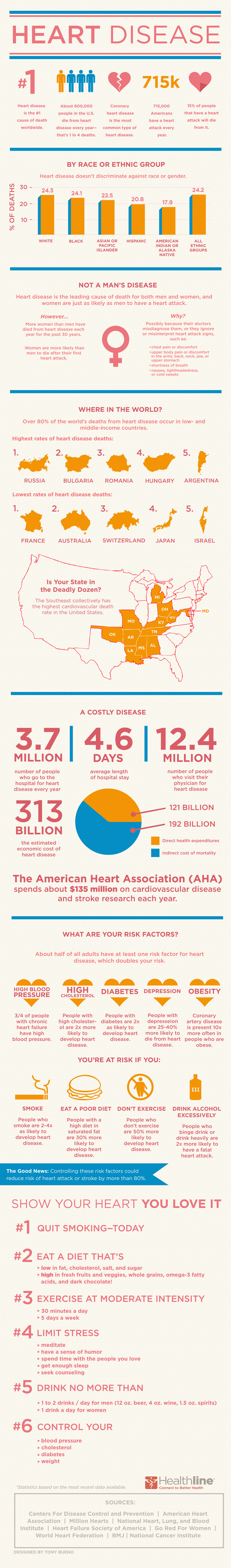 Heart Infographic