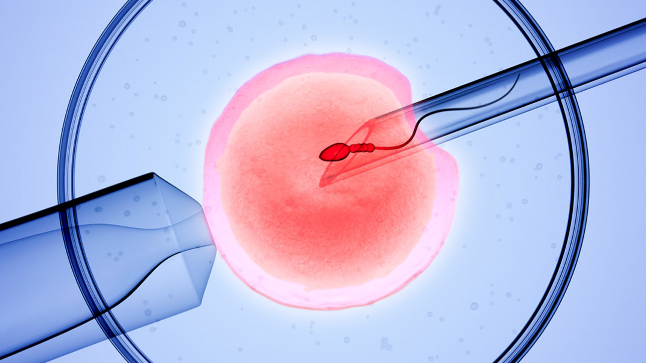 children-born-via-ivf-may-face-higher-health-risks-as-they-get-older