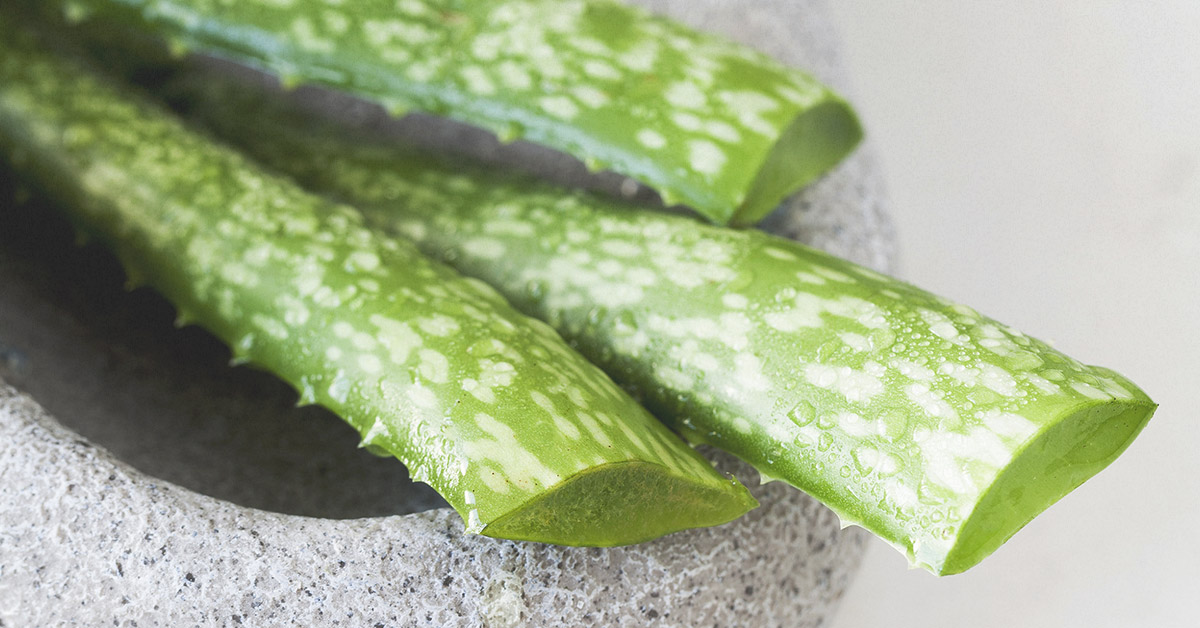 Aloe Vera For Acne 7 Ways To Get Rid Of Pimples