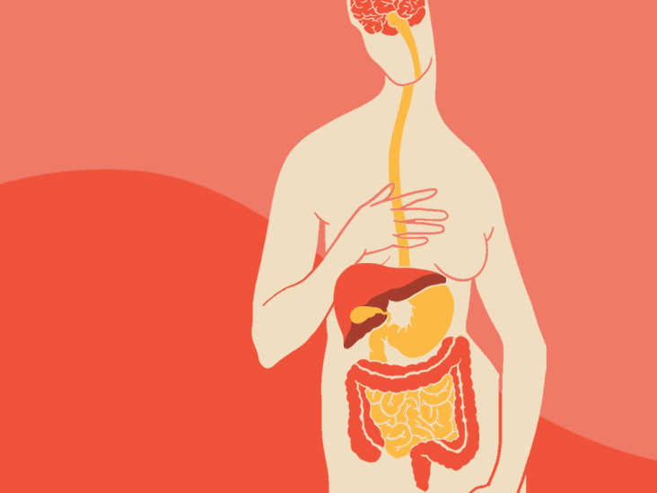 4 Ways Your Gut and Brain Are Connected
