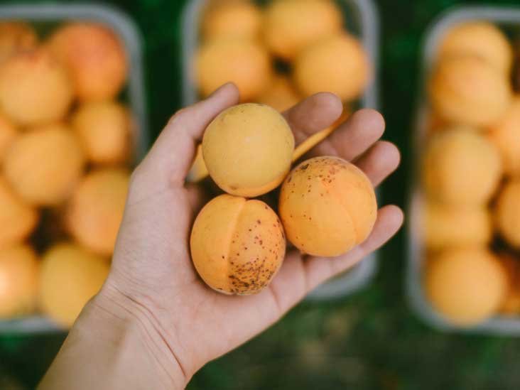 9 Health and Nutrition Benefits of Apricots