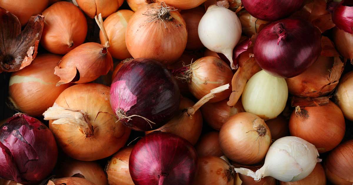 The Best Way To Store Onions