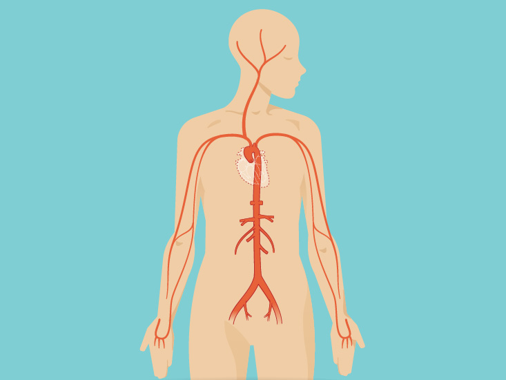 Effects Of Electricity On The Human Body Chart