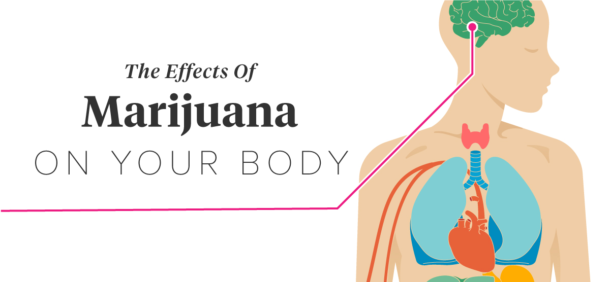 Effects Of Marijuana On The Body