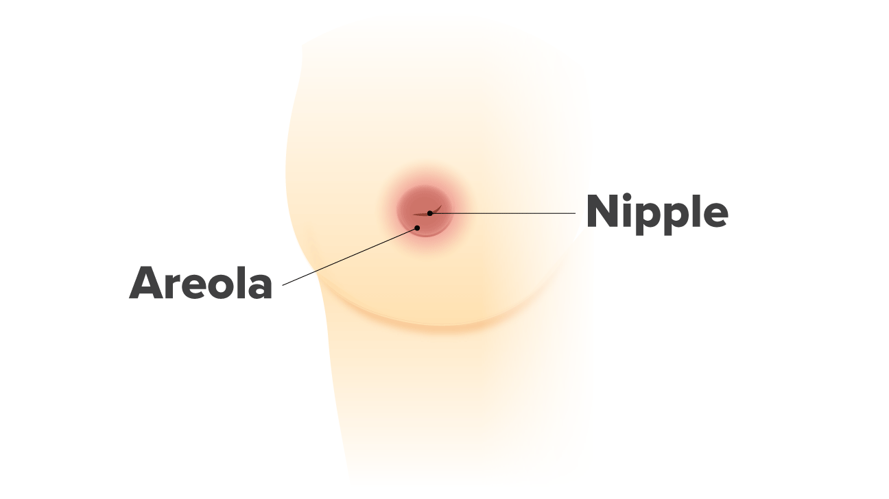 Female Inverted Nipples 42