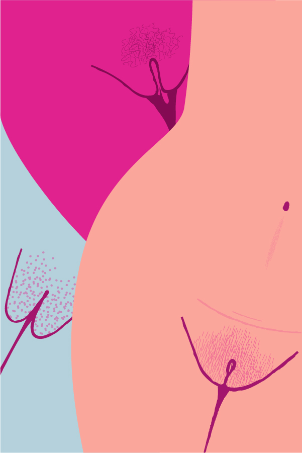 sizes of vulva of women