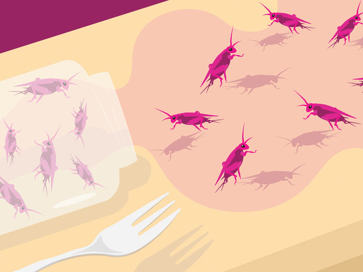I Hate Bugs. But I Tried Insect-Based Food Anyway