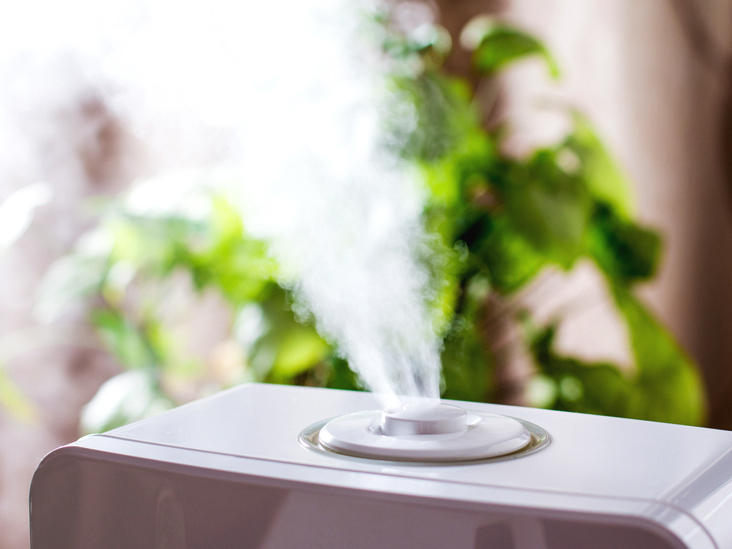 How a Humidifier Can Help Your Allergies