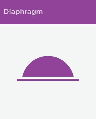 diafragma