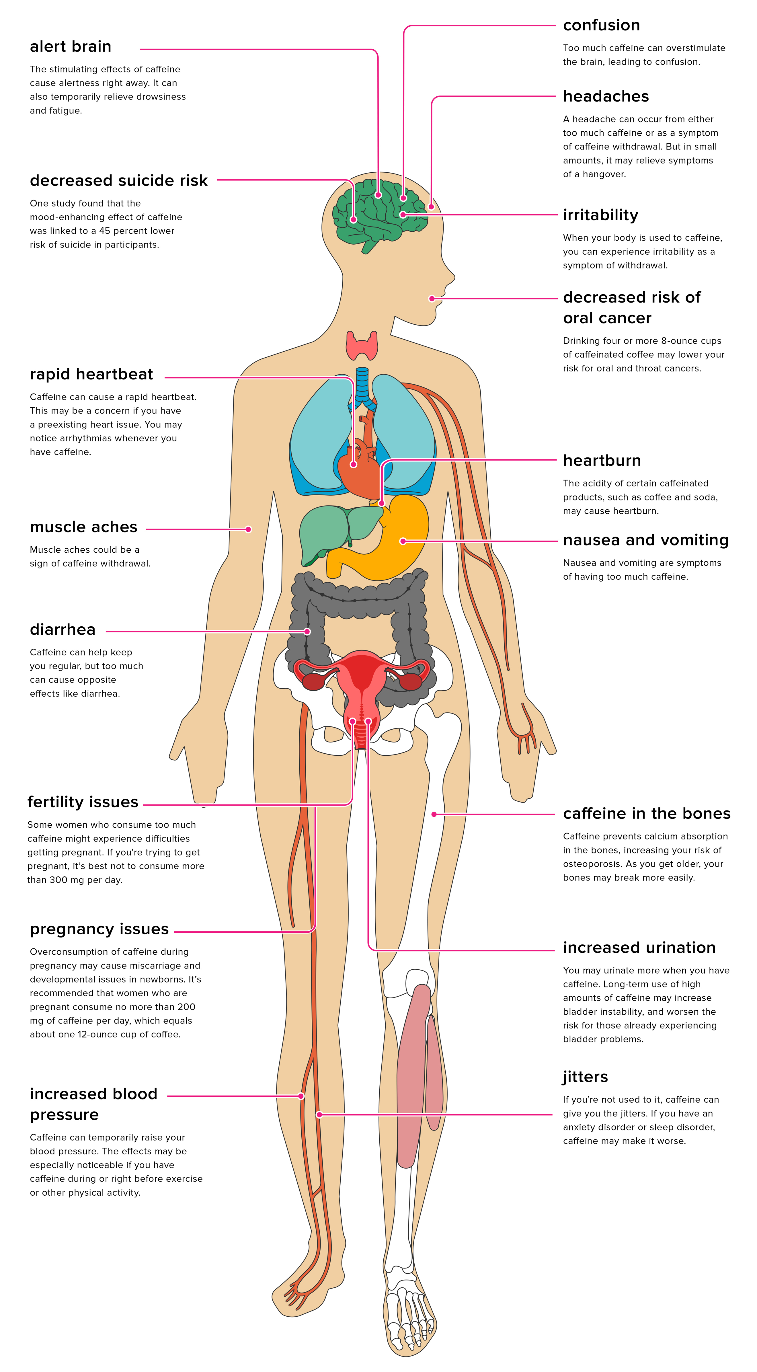 The Effects Of Caffeine On Your Body