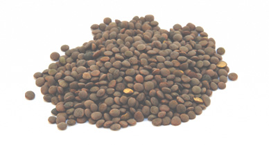 lentils