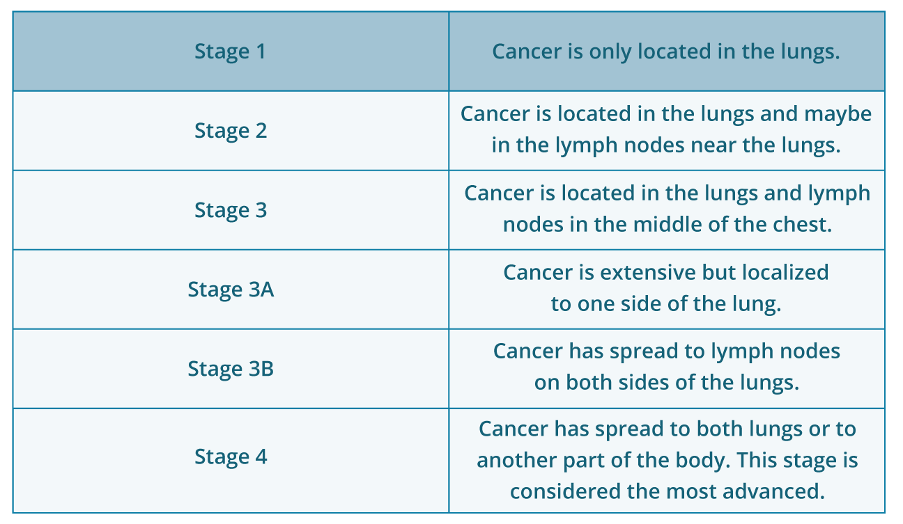 Lung Cancer Types Chart