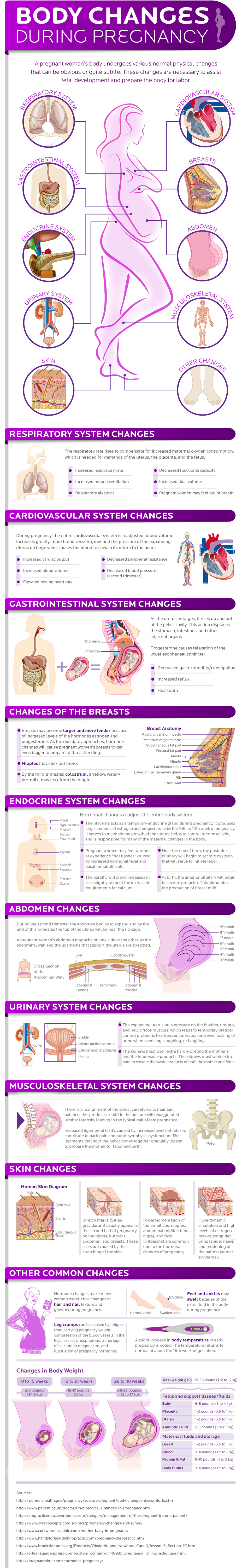 Changes Of Pregnancy During Pregnancy